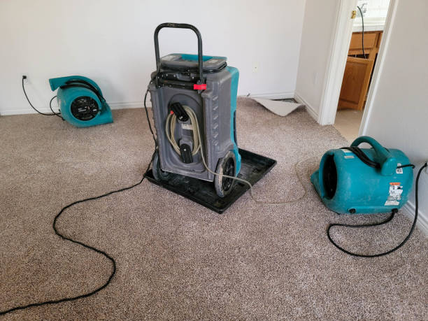 Best Mold removal after water damage  in Marmora, NJ