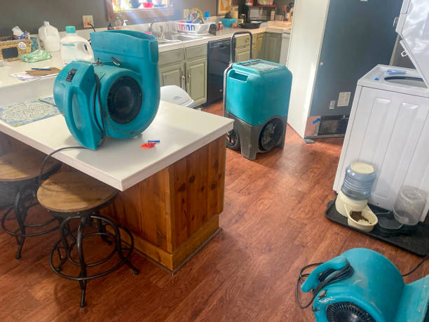 Best Ceiling water damage repair  in Marmora, NJ