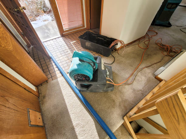 Best Water damage restoration specialists  in Marmora, NJ