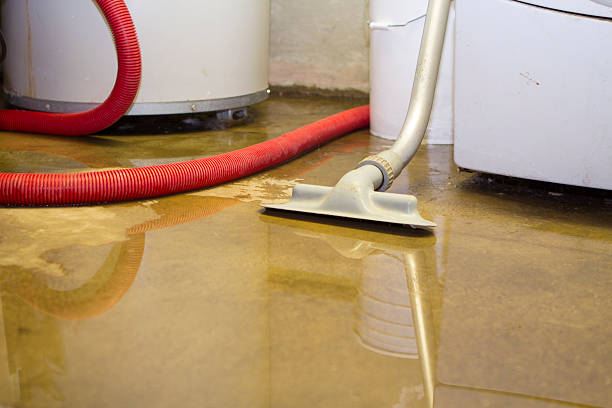 Best Basement water damage restoration  in Marmora, NJ