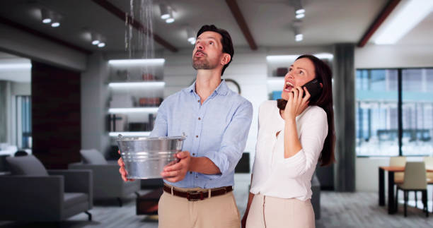 Best Ceiling water damage repair  in Marmora, NJ