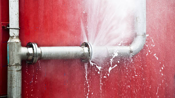 Best Local water damage restoration  in Marmora, NJ